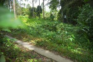 BIB: 
                            <button type="button" onclick="openModal(21744884)" class="btn btn-primary btn-sm float-right btn-popup" data-toggle="modal" data-target=".modal-high-quality">
                        <i class="fas fa-shopping-cart"></i> Add to Cart
                    </button>
                                            <button type="button" onclick="isThisMe(21744884, true)" class="btn btn-success btn-sm float-right btn-popup btn-isme hidden" data-toggle="tooltip" data-placement="bottom" title="นี่คือรูปของคุณใช่ไหม คลิกที่นี่เพื่อเอาเข้าอัลบั้ม">
                        <i class="fas fa-plus"></i> Add to album
                    </button>
                    <button type="button" onclick="isThisMe(21744884, false)" class="btn btn-warning btn-sm float-right btn-popup btn-isnotme hidden">
                        <i class="fas fa-ban"></i> Remove from album
                    </button>